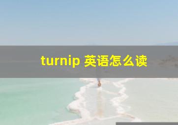 turnip 英语怎么读